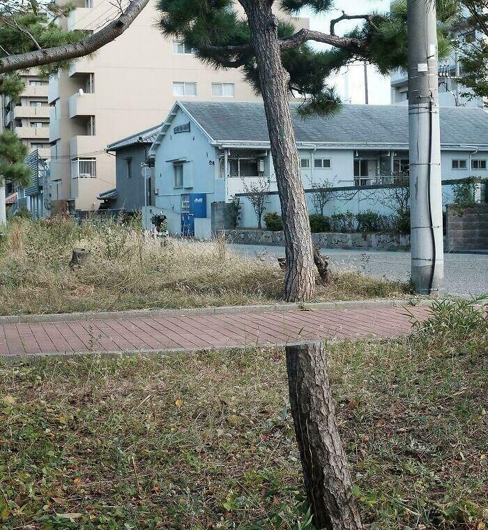 78 Real Life Optical Illusion That Will Leave Your Brain Shaken, Not Stirred 78 Real Life Optical Illusion That Will Leave Your Brain Shaken, Not Stirred
