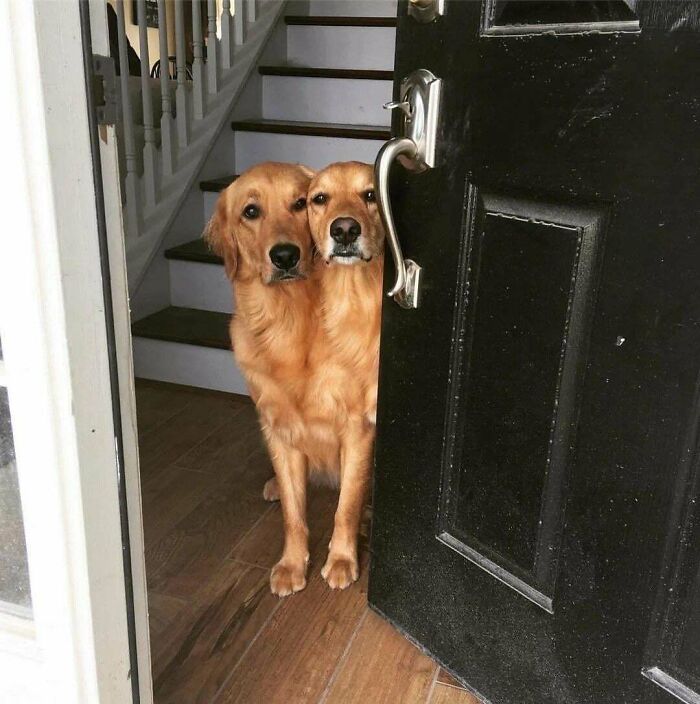 78 Real Life Optical Illusion That Will Leave Your Brain Shaken, Not Stirred 78 Real Life Optical Illusion That Will Leave Your Brain Shaken, Not Stirred