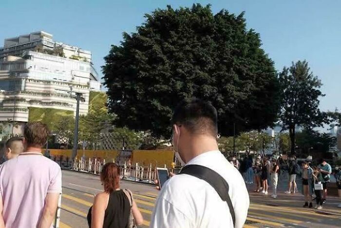 78 Real Life Optical Illusion That Will Leave Your Brain Shaken, Not Stirred 78 Real Life Optical Illusion That Will Leave Your Brain Shaken, Not Stirred