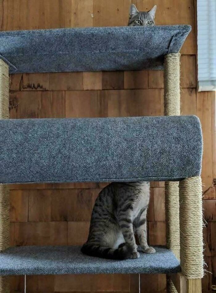 78 Real Life Optical Illusion That Will Leave Your Brain Shaken, Not Stirred 78 Real Life Optical Illusion That Will Leave Your Brain Shaken, Not Stirred