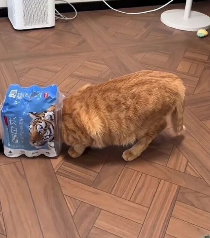 78 Real Life Optical Illusion That Will Leave Your Brain Shaken, Not Stirred 78 Real Life Optical Illusion That Will Leave Your Brain Shaken, Not Stirred