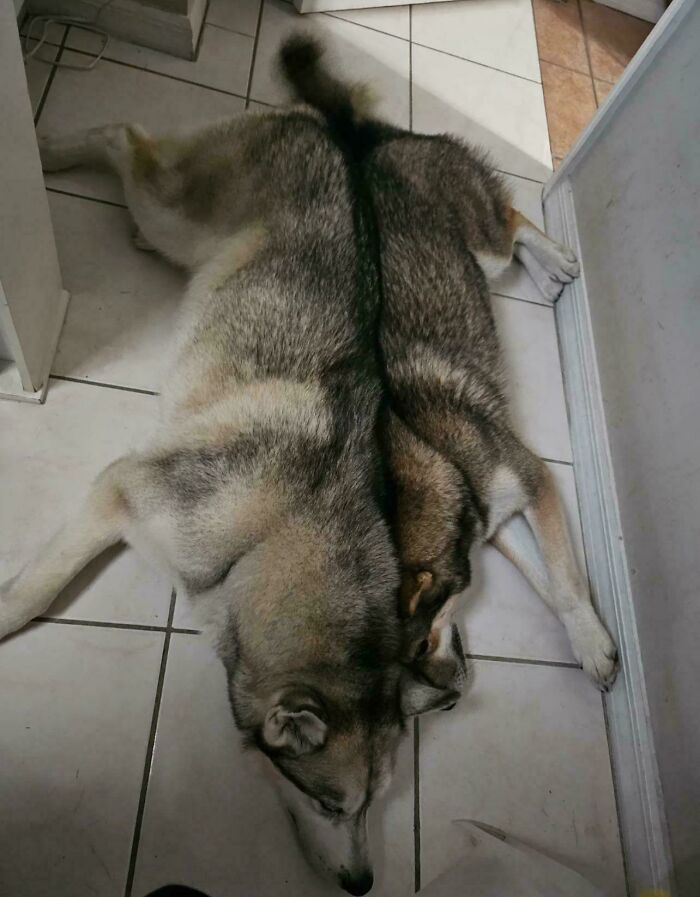 78 Real Life Optical Illusion That Will Leave Your Brain Shaken, Not Stirred 78 Real Life Optical Illusion That Will Leave Your Brain Shaken, Not Stirred