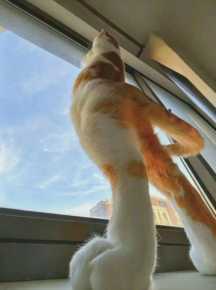78 Real Life Optical Illusion That Will Leave Your Brain Shaken, Not Stirred 78 Real Life Optical Illusion That Will Leave Your Brain Shaken, Not Stirred