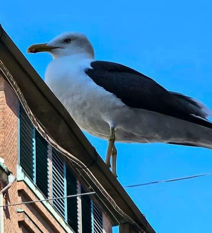 78 Real Life Optical Illusion That Will Leave Your Brain Shaken, Not Stirred 78 Real Life Optical Illusion That Will Leave Your Brain Shaken, Not Stirred