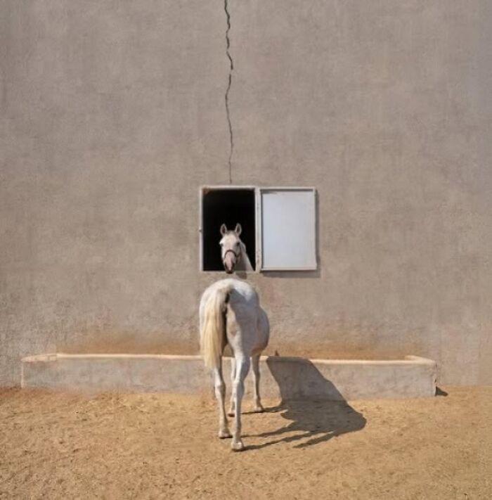 78 Real Life Optical Illusion That Will Leave Your Brain Shaken, Not Stirred 78 Real Life Optical Illusion That Will Leave Your Brain Shaken, Not Stirred