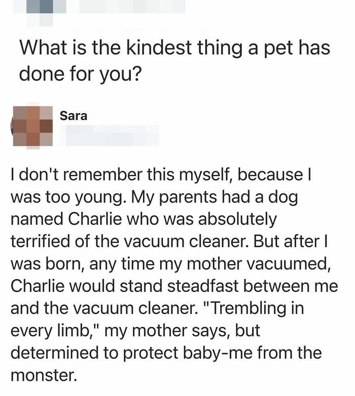 If You Struggle To See Good In The World, Here Are 88 Wholesome Posts To Remind You What Matters Most If You Struggle To See Good In The World, Here Are 88 Wholesome Posts To Remind You What Matters Most