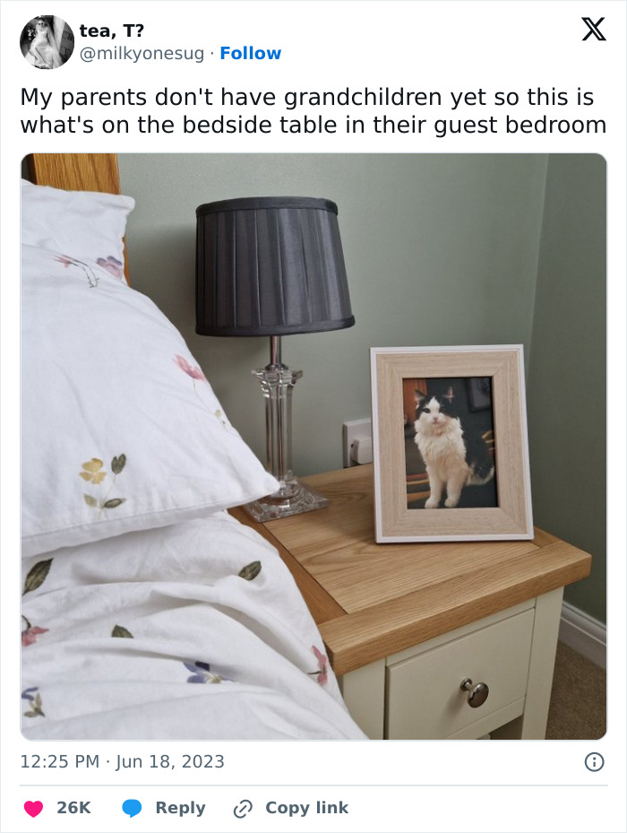 If You Struggle To See Good In The World, Here Are 88 Wholesome Posts To Remind You What Matters Most If You Struggle To See Good In The World, Here Are 88 Wholesome Posts To Remind You What Matters Most