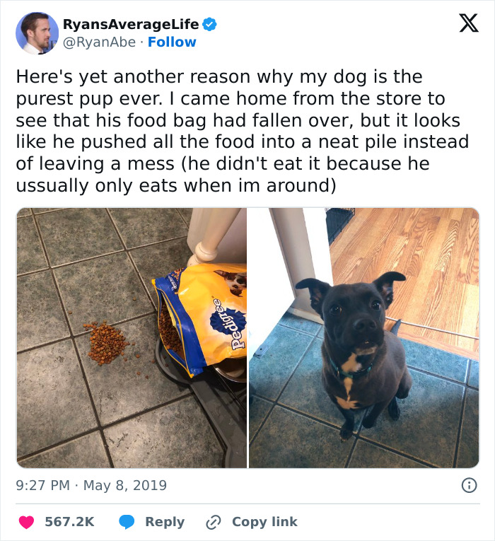 If You Struggle To See Good In The World, Here Are 88 Wholesome Posts To Remind You What Matters Most If You Struggle To See Good In The World, Here Are 88 Wholesome Posts To Remind You What Matters Most