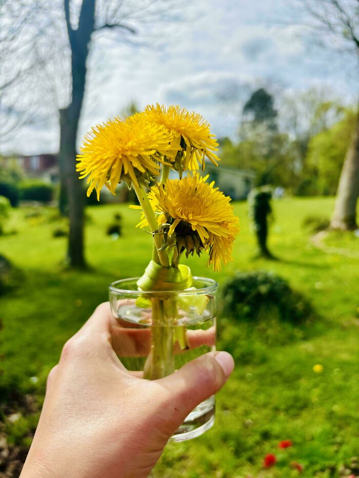 If You Struggle To See Good In The World, Here Are 88 Wholesome Posts To Remind You What Matters Most If You Struggle To See Good In The World, Here Are 88 Wholesome Posts To Remind You What Matters Most
