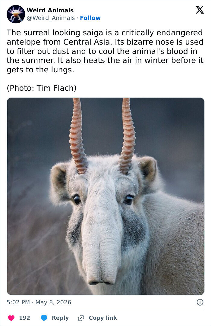 105 Fantastical Animals You Probably Won’t Believe Exist (New Pics) 105 Fantastical Animals You Probably Won’t Believe Exist (New Pics)