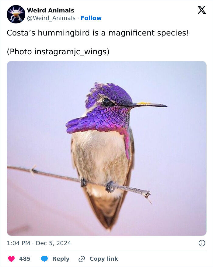 105 Fantastical Animals You Probably Won’t Believe Exist (New Pics) 105 Fantastical Animals You Probably Won’t Believe Exist (New Pics)