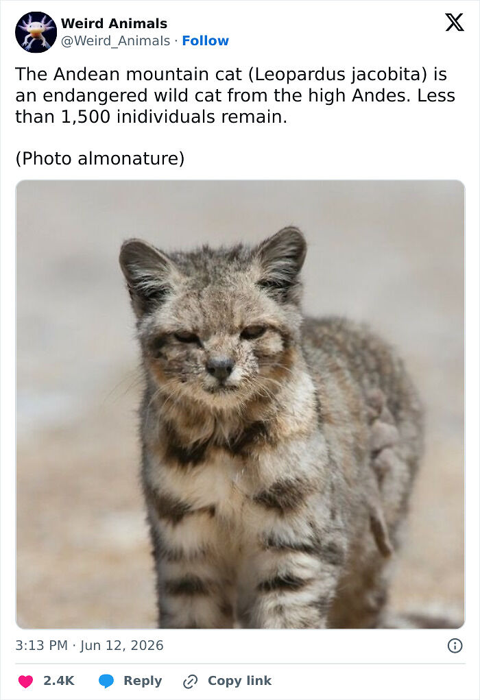 105 Fantastical Animals You Probably Won’t Believe Exist (New Pics) 105 Fantastical Animals You Probably Won’t Believe Exist (New Pics)