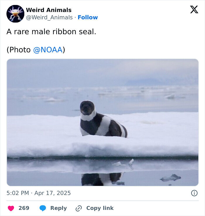 105 Fantastical Animals You Probably Won’t Believe Exist (New Pics) 105 Fantastical Animals You Probably Won’t Believe Exist (New Pics)