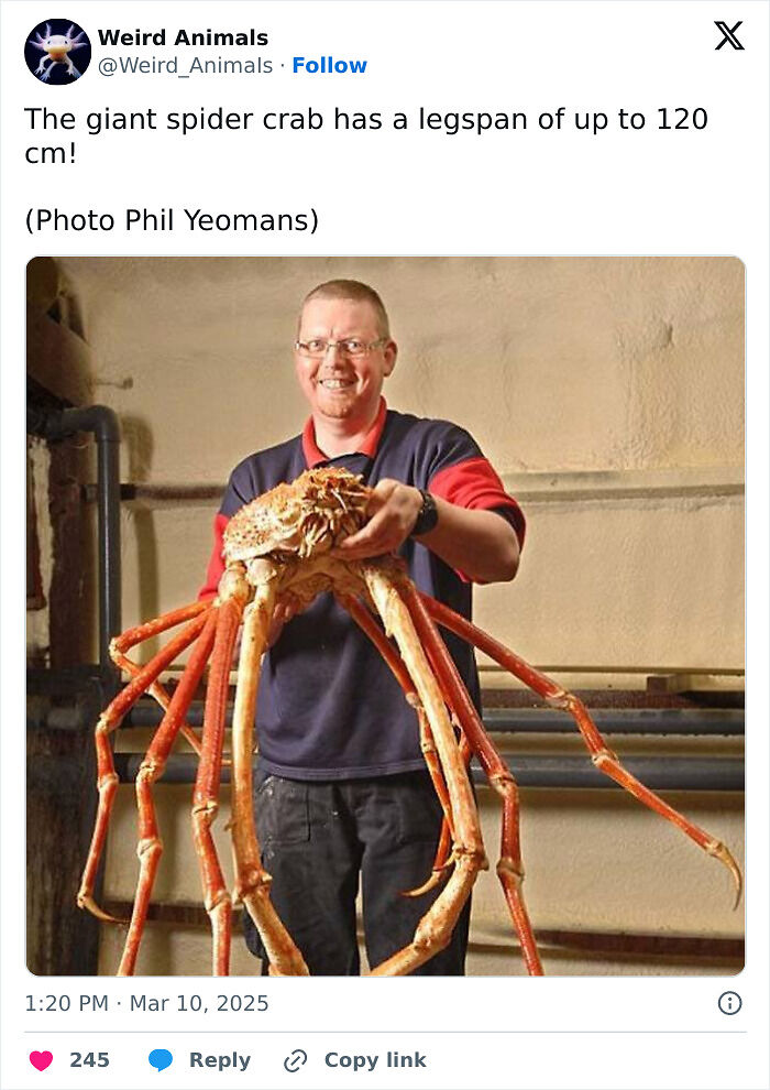 105 Fantastical Animals You Probably Won’t Believe Exist (New Pics) 105 Fantastical Animals You Probably Won’t Believe Exist (New Pics)