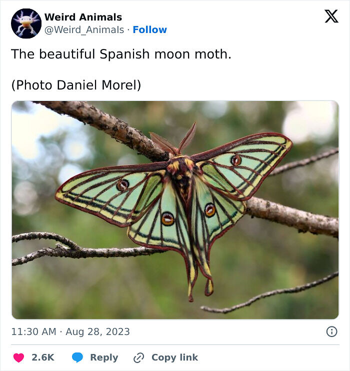105 Fantastical Animals You Probably Won’t Believe Exist (New Pics) 105 Fantastical Animals You Probably Won’t Believe Exist (New Pics)