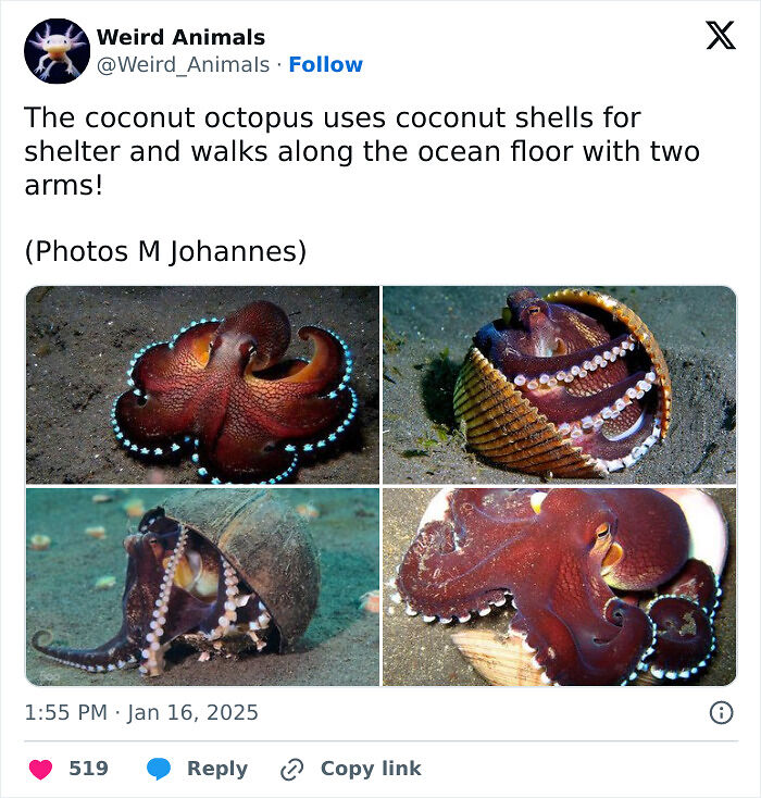 105 Fantastical Animals You Probably Won’t Believe Exist (New Pics) 105 Fantastical Animals You Probably Won’t Believe Exist (New Pics)