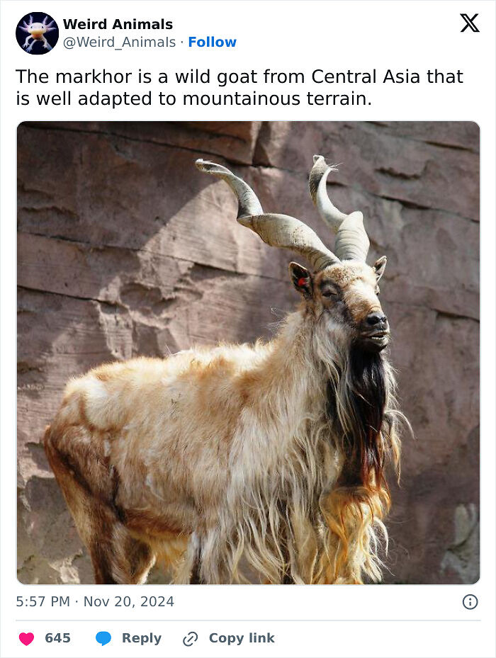 105 Fantastical Animals You Probably Won’t Believe Exist (New Pics) 105 Fantastical Animals You Probably Won’t Believe Exist (New Pics)