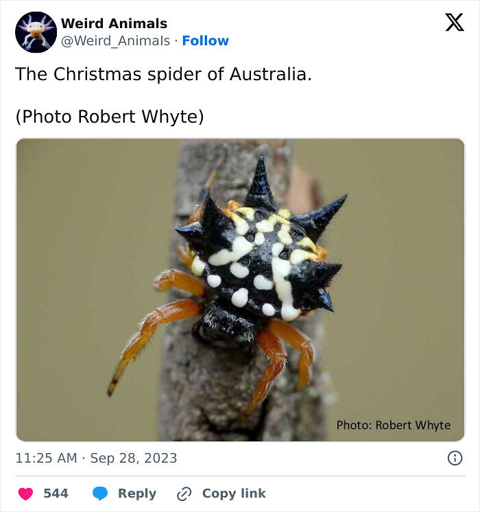 105 Fantastical Animals You Probably Won’t Believe Exist (New Pics) 105 Fantastical Animals You Probably Won’t Believe Exist (New Pics)