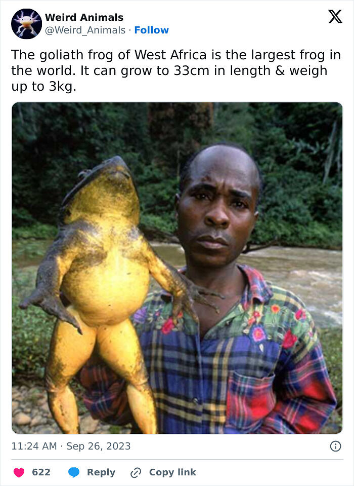 105 Fantastical Animals You Probably Won’t Believe Exist (New Pics) 105 Fantastical Animals You Probably Won’t Believe Exist (New Pics)