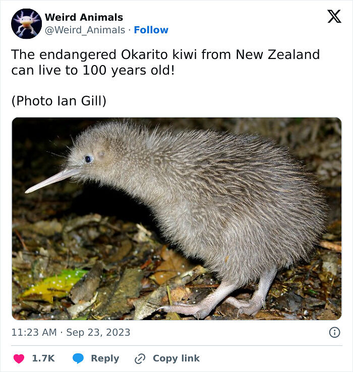 105 Fantastical Animals You Probably Won’t Believe Exist (New Pics) 105 Fantastical Animals You Probably Won’t Believe Exist (New Pics)