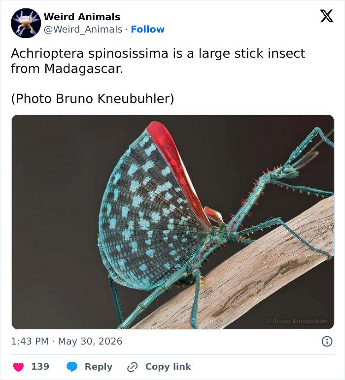 105 Fantastical Animals You Probably Won’t Believe Exist (New Pics) 105 Fantastical Animals You Probably Won’t Believe Exist (New Pics)