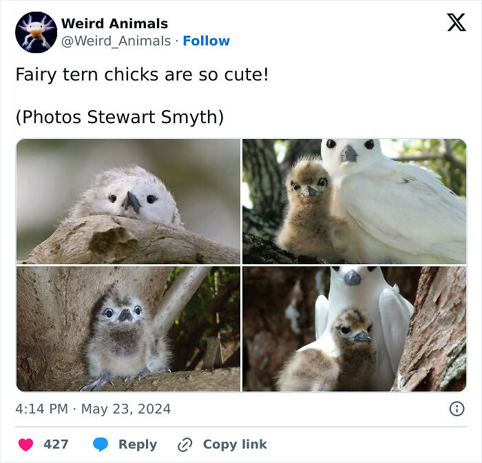105 Fantastical Animals You Probably Won’t Believe Exist (New Pics) 105 Fantastical Animals You Probably Won’t Believe Exist (New Pics)