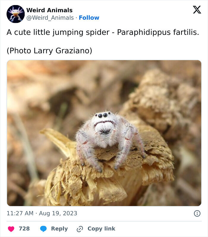 105 Fantastical Animals You Probably Won’t Believe Exist (New Pics) 105 Fantastical Animals You Probably Won’t Believe Exist (New Pics)