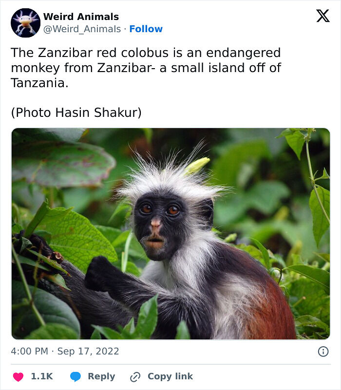 105 Fantastical Animals You Probably Won’t Believe Exist (New Pics) 105 Fantastical Animals You Probably Won’t Believe Exist (New Pics)