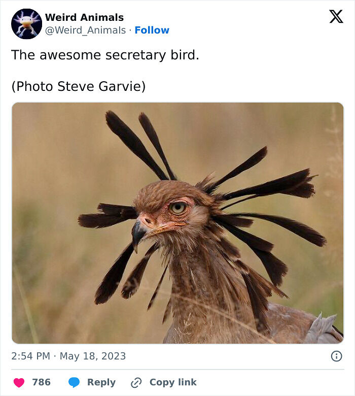 105 Fantastical Animals You Probably Won’t Believe Exist (New Pics) 105 Fantastical Animals You Probably Won’t Believe Exist (New Pics)