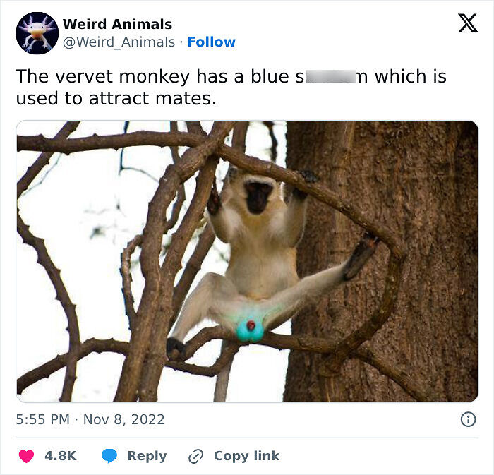 105 Fantastical Animals You Probably Won’t Believe Exist (New Pics) 105 Fantastical Animals You Probably Won’t Believe Exist (New Pics)