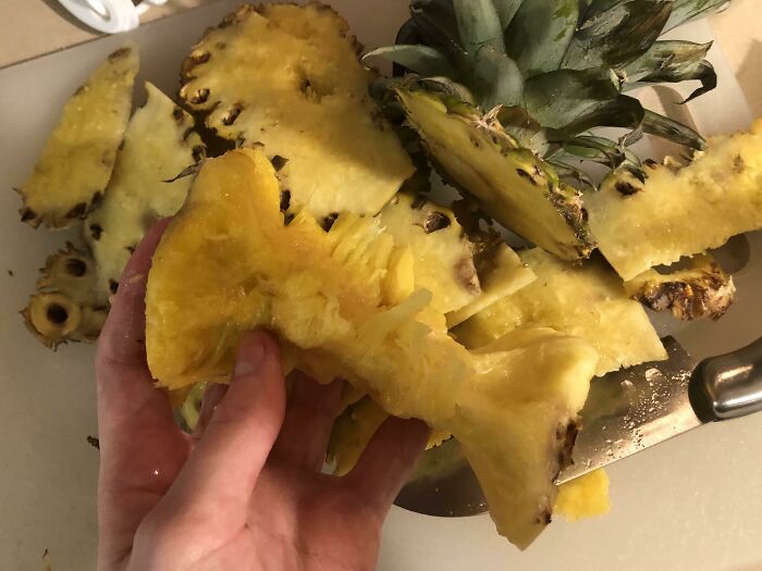 75 Pieces Of Stupid Vegan Food That Deserve To Be Publicly Shamed 75 Pieces Of Stupid Vegan Food That Deserve To Be Publicly Shamed