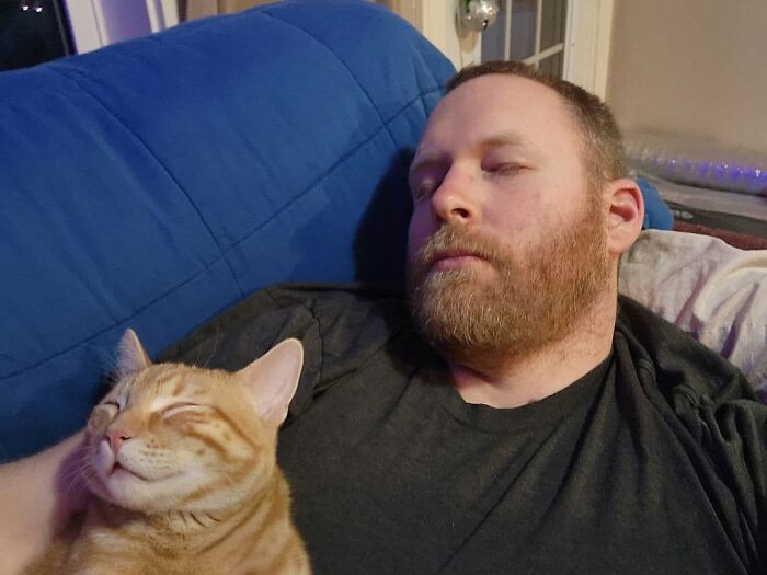 35 Pet Owners Share Their Orange Cats That Could Almost Pass As Their Real Family Members 35 Pet Owners Share Their Orange Cats That Could Almost Pass As Their Real Family Members