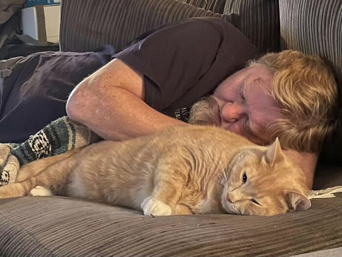 35 Pet Owners Share Their Orange Cats That Could Almost Pass As Their Real Family Members 35 Pet Owners Share Their Orange Cats That Could Almost Pass As Their Real Family Members