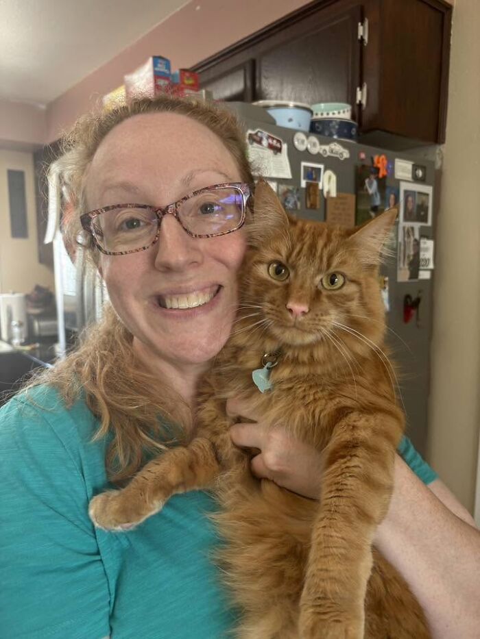 35 Pet Owners Share Their Orange Cats That Could Almost Pass As Their Real Family Members 35 Pet Owners Share Their Orange Cats That Could Almost Pass As Their Real Family Members