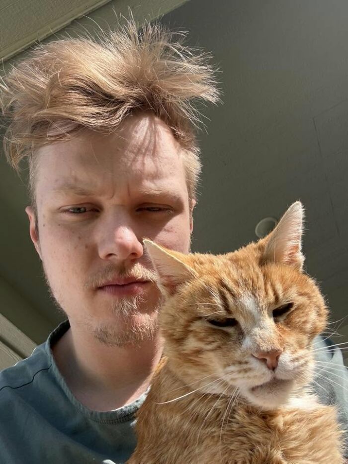 35 Pet Owners Share Their Orange Cats That Could Almost Pass As Their Real Family Members 35 Pet Owners Share Their Orange Cats That Could Almost Pass As Their Real Family Members