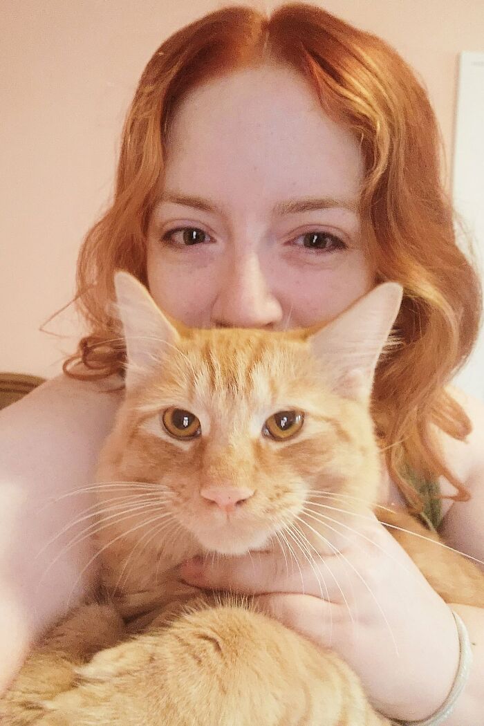 35 Pet Owners Share Their Orange Cats That Could Almost Pass As Their Real Family Members 35 Pet Owners Share Their Orange Cats That Could Almost Pass As Their Real Family Members