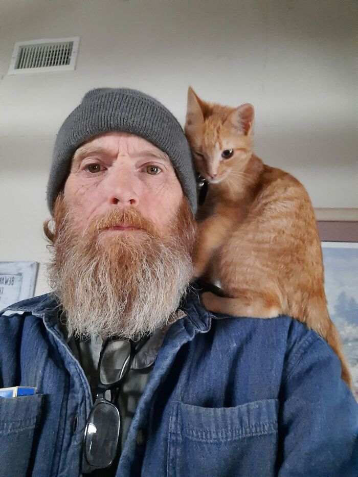 35 Pet Owners Share Their Orange Cats That Could Almost Pass As Their Real Family Members 35 Pet Owners Share Their Orange Cats That Could Almost Pass As Their Real Family Members