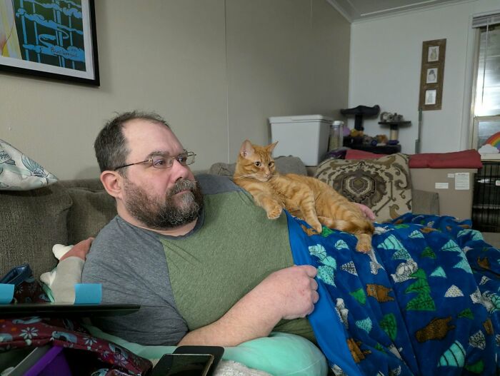 35 Pet Owners Share Their Orange Cats That Could Almost Pass As Their Real Family Members 35 Pet Owners Share Their Orange Cats That Could Almost Pass As Their Real Family Members