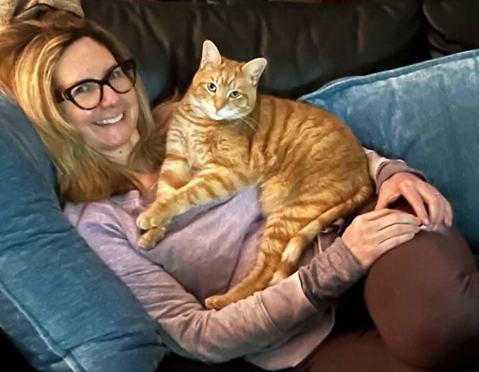35 Pet Owners Share Their Orange Cats That Could Almost Pass As Their Real Family Members 35 Pet Owners Share Their Orange Cats That Could Almost Pass As Their Real Family Members