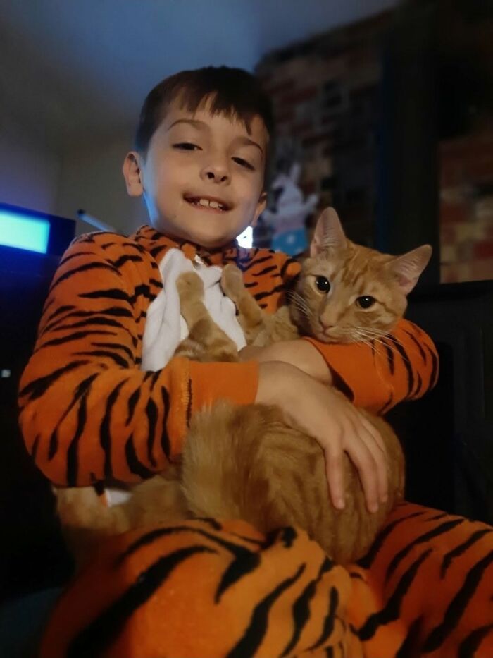 35 Pet Owners Share Their Orange Cats That Could Almost Pass As Their Real Family Members 35 Pet Owners Share Their Orange Cats That Could Almost Pass As Their Real Family Members