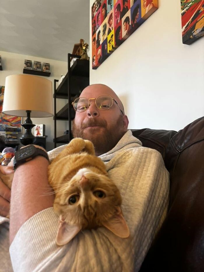 35 Pet Owners Share Their Orange Cats That Could Almost Pass As Their Real Family Members 35 Pet Owners Share Their Orange Cats That Could Almost Pass As Their Real Family Members