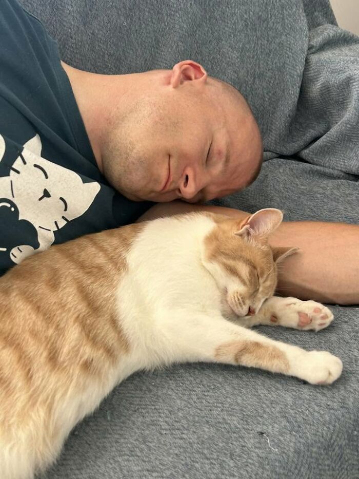 35 Pet Owners Share Their Orange Cats That Could Almost Pass As Their Real Family Members 35 Pet Owners Share Their Orange Cats That Could Almost Pass As Their Real Family Members
