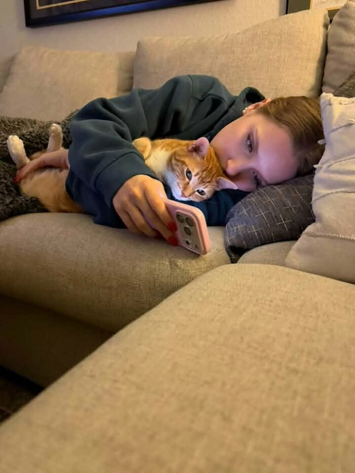 35 Pet Owners Share Their Orange Cats That Could Almost Pass As Their Real Family Members 35 Pet Owners Share Their Orange Cats That Could Almost Pass As Their Real Family Members