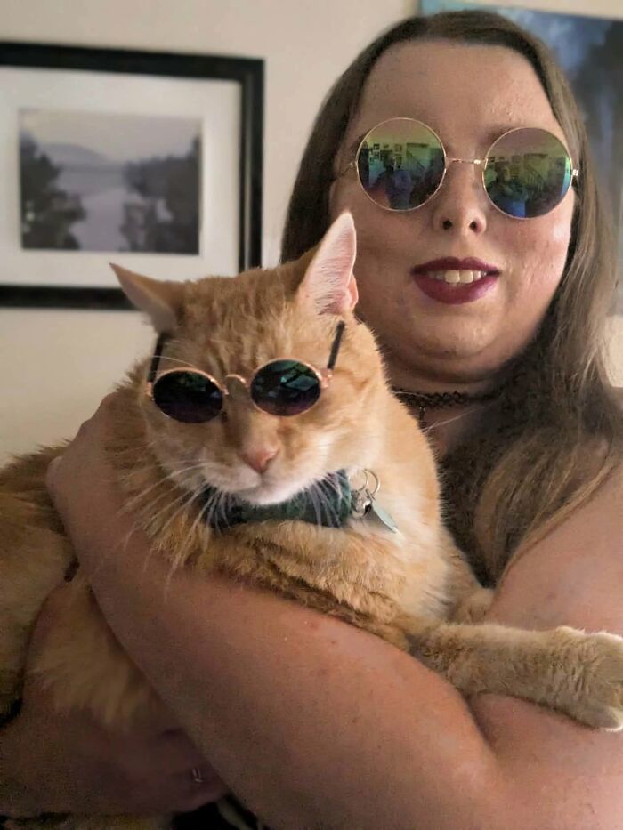 35 Pet Owners Share Their Orange Cats That Could Almost Pass As Their Real Family Members 35 Pet Owners Share Their Orange Cats That Could Almost Pass As Their Real Family Members