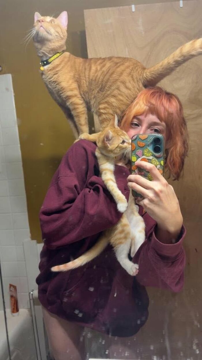 35 Pet Owners Share Their Orange Cats That Could Almost Pass As Their Real Family Members 35 Pet Owners Share Their Orange Cats That Could Almost Pass As Their Real Family Members