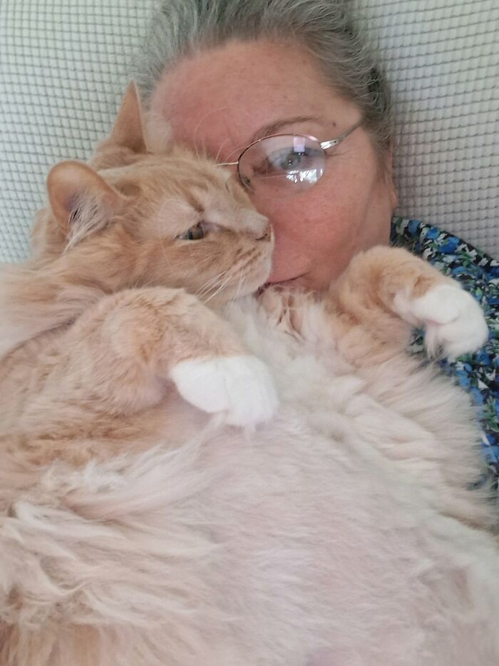 35 Pet Owners Share Their Orange Cats That Could Almost Pass As Their Real Family Members 35 Pet Owners Share Their Orange Cats That Could Almost Pass As Their Real Family Members