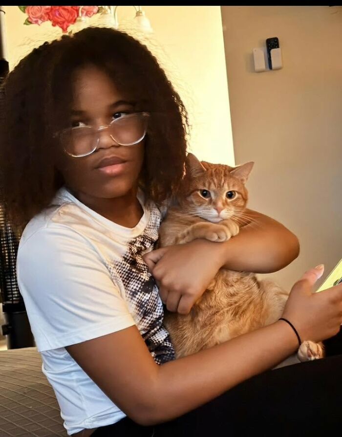 35 Pet Owners Share Their Orange Cats That Could Almost Pass As Their Real Family Members 35 Pet Owners Share Their Orange Cats That Could Almost Pass As Their Real Family Members