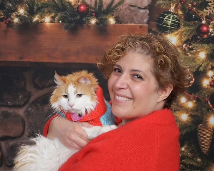 35 Pet Owners Share Their Orange Cats That Could Almost Pass As Their Real Family Members 35 Pet Owners Share Their Orange Cats That Could Almost Pass As Their Real Family Members
