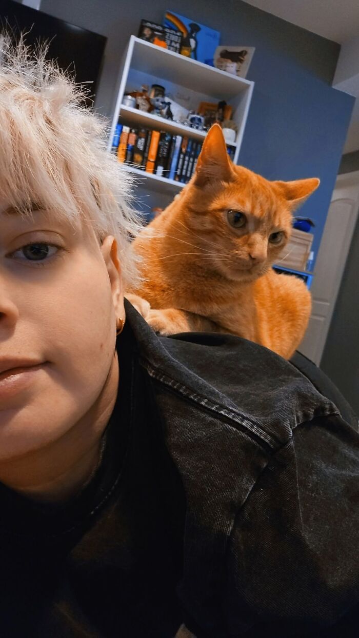 35 Pet Owners Share Their Orange Cats That Could Almost Pass As Their Real Family Members 35 Pet Owners Share Their Orange Cats That Could Almost Pass As Their Real Family Members