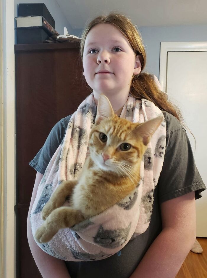 35 Pet Owners Share Their Orange Cats That Could Almost Pass As Their Real Family Members 35 Pet Owners Share Their Orange Cats That Could Almost Pass As Their Real Family Members